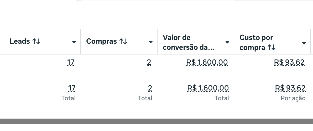 Print de compras rastreadas em campanha de mensagens